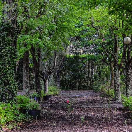 Quinta Da Mafalda Mira  Esterno foto
