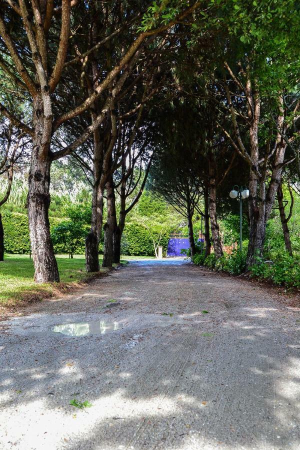 Quinta Da Mafalda Mira  Esterno foto