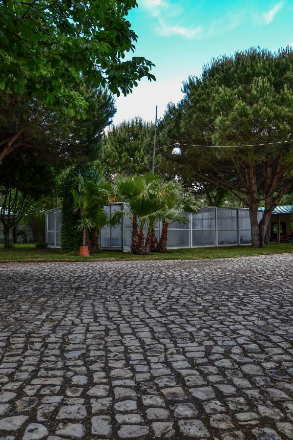 Quinta Da Mafalda Mira  Esterno foto