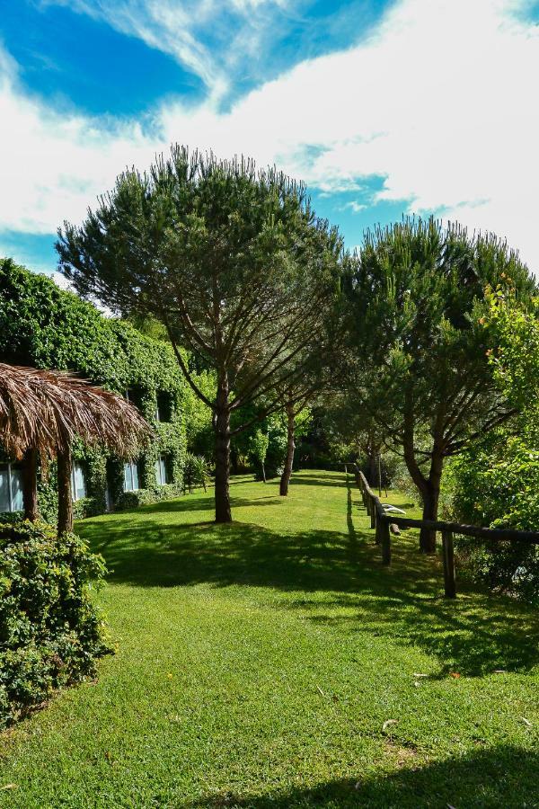 Quinta Da Mafalda Mira  Esterno foto