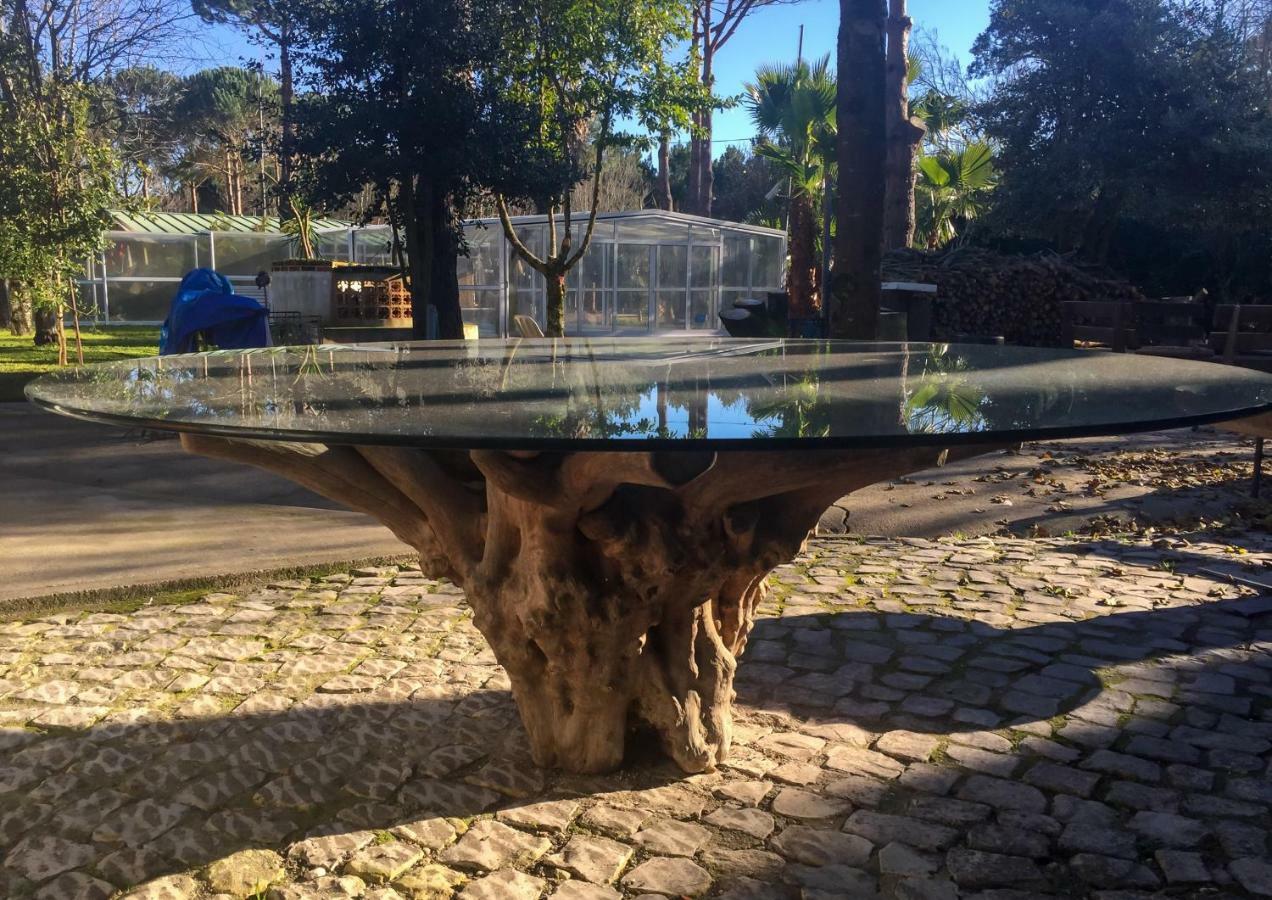 Quinta Da Mafalda Mira  Esterno foto