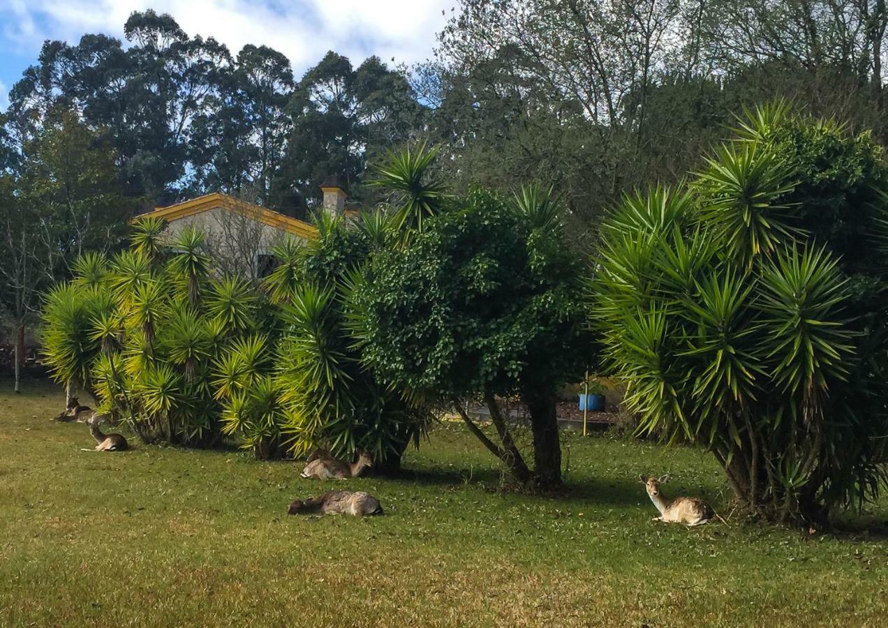 Quinta Da Mafalda Mira  Esterno foto