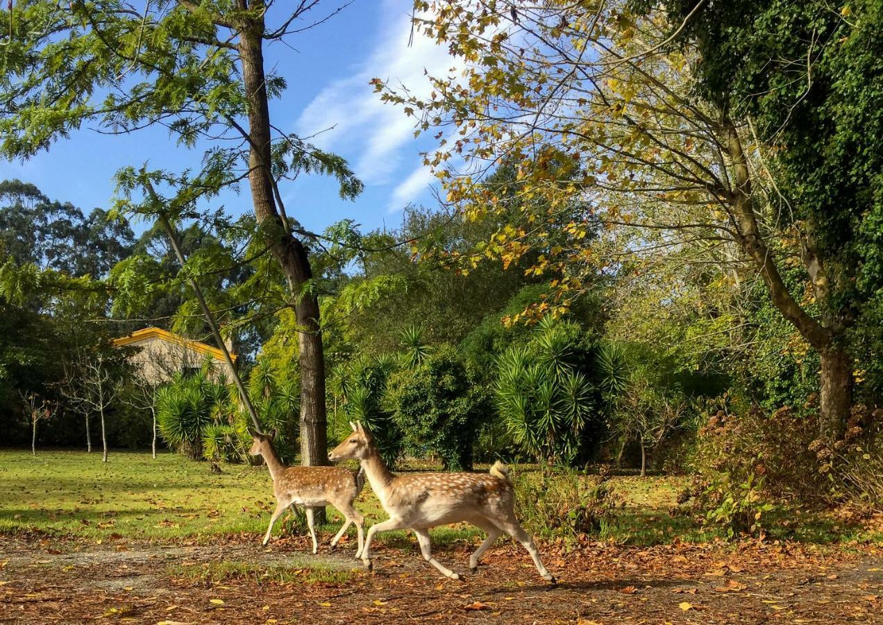 Quinta Da Mafalda Mira  Esterno foto