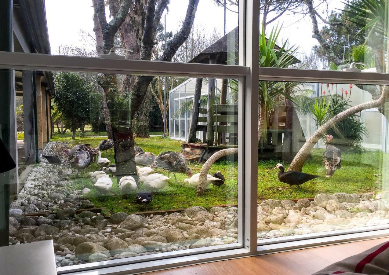 Quinta Da Mafalda Mira  Esterno foto