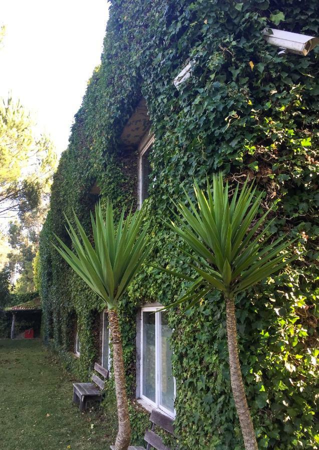Quinta Da Mafalda Mira  Esterno foto