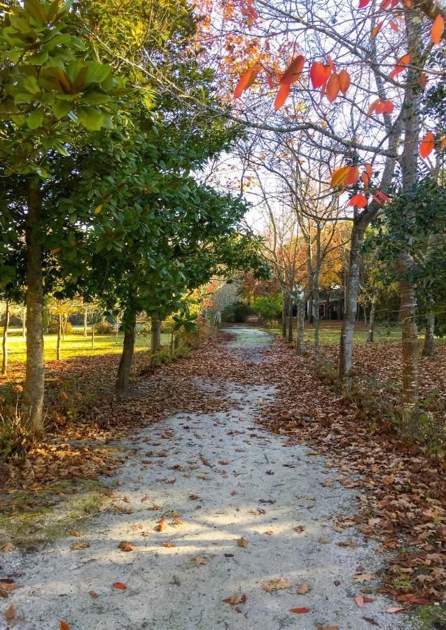 Quinta Da Mafalda Mira  Esterno foto