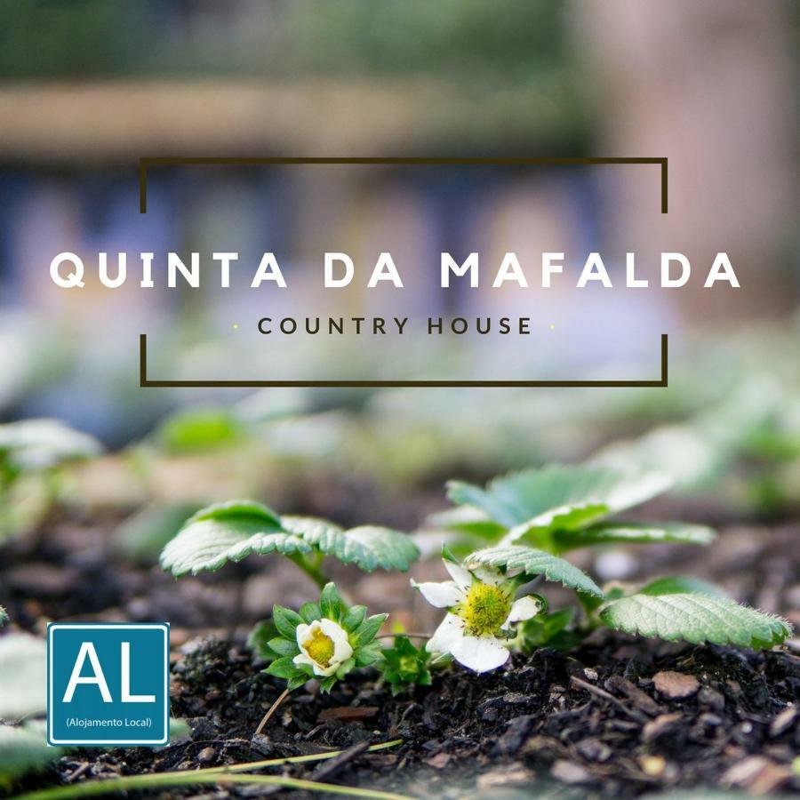 Quinta Da Mafalda Mira  Esterno foto