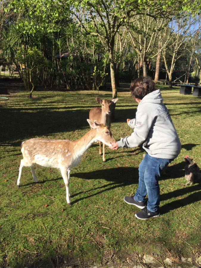 Quinta Da Mafalda Mira  Esterno foto